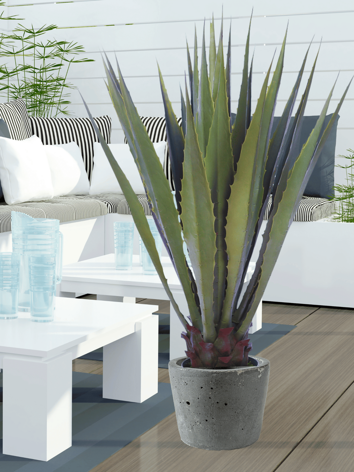 UV - Agave 125cm