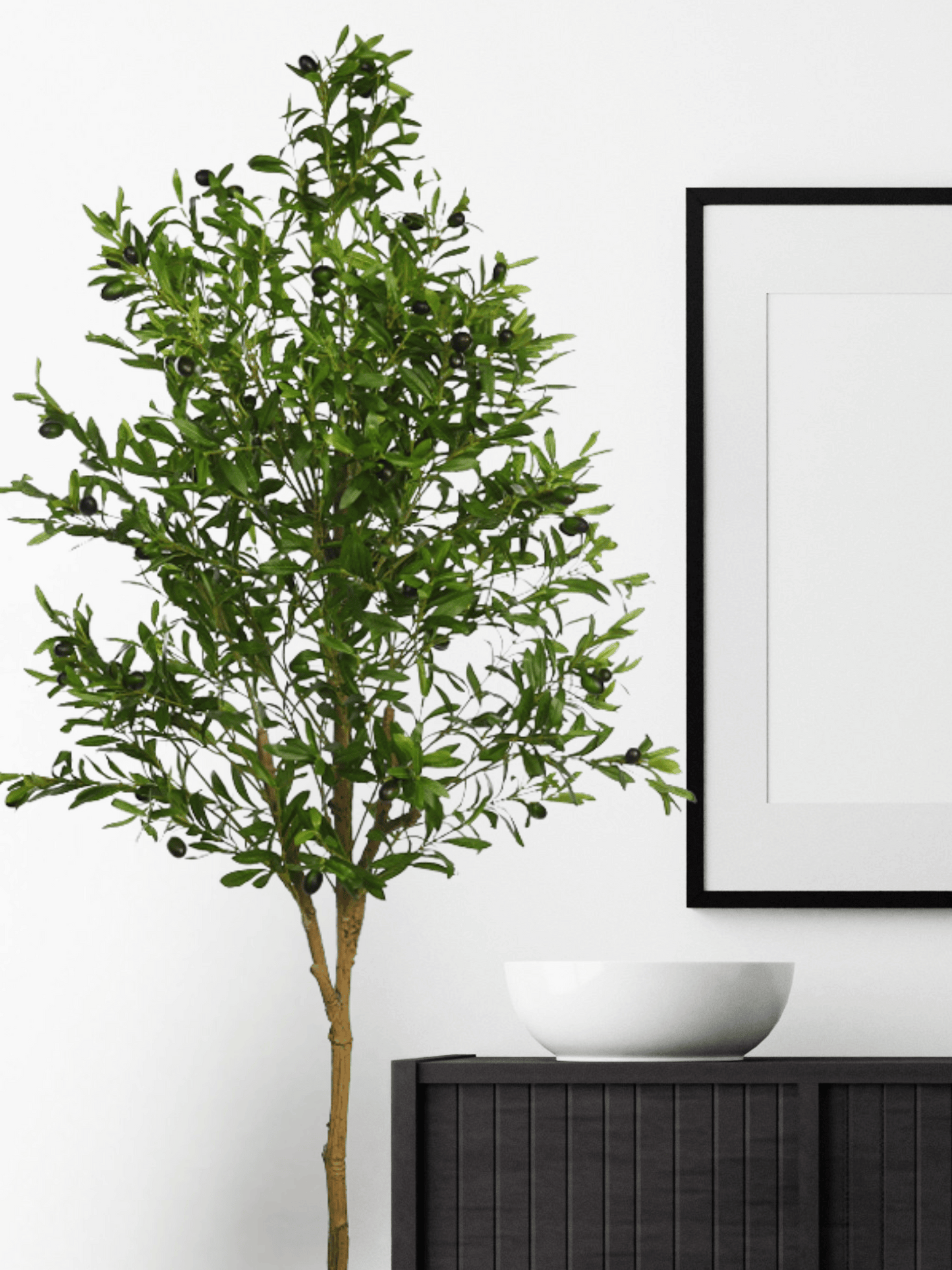 UV - Olive Tree 170cm