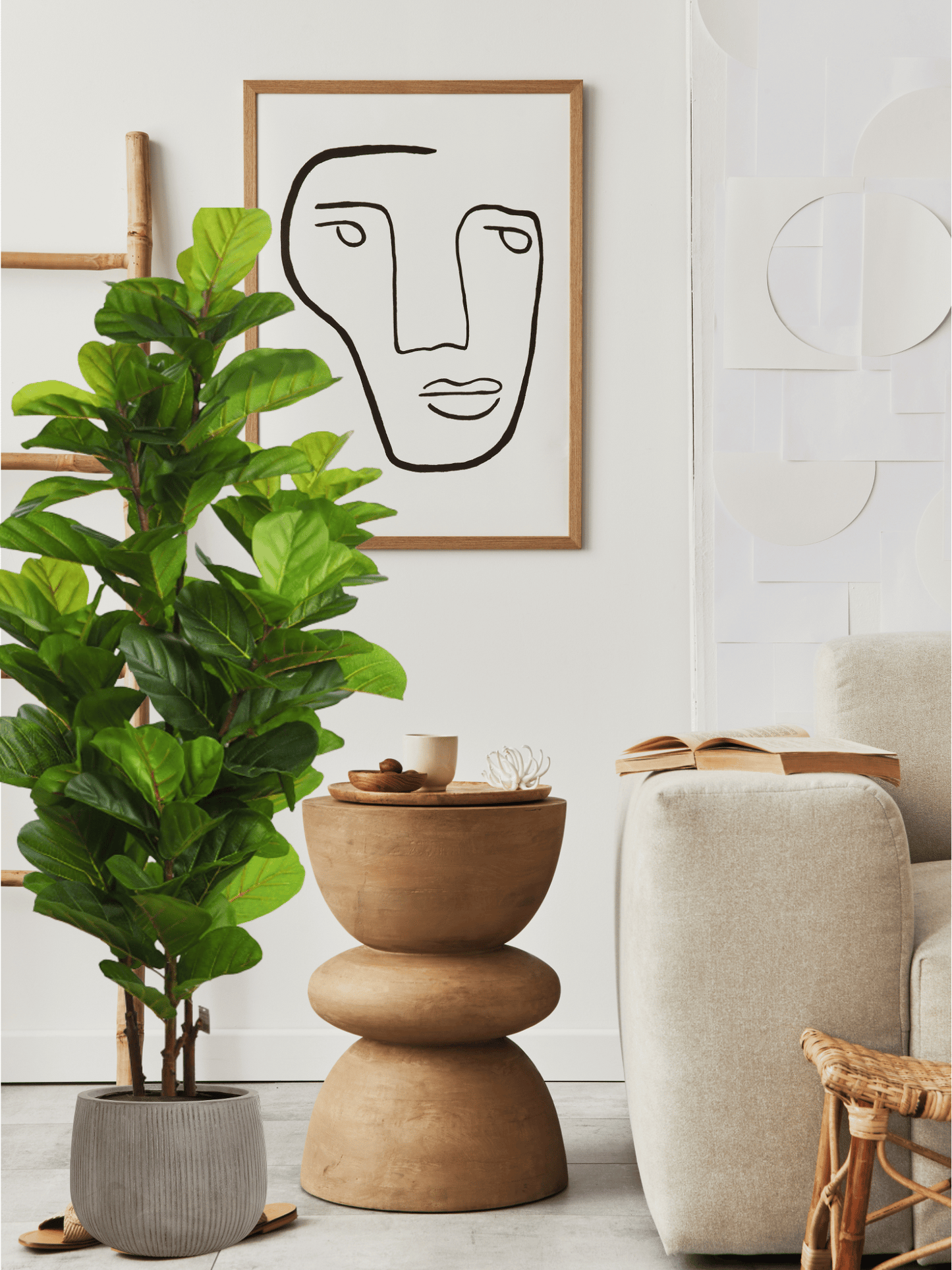 UV - Ficus Lyrata 145 cm