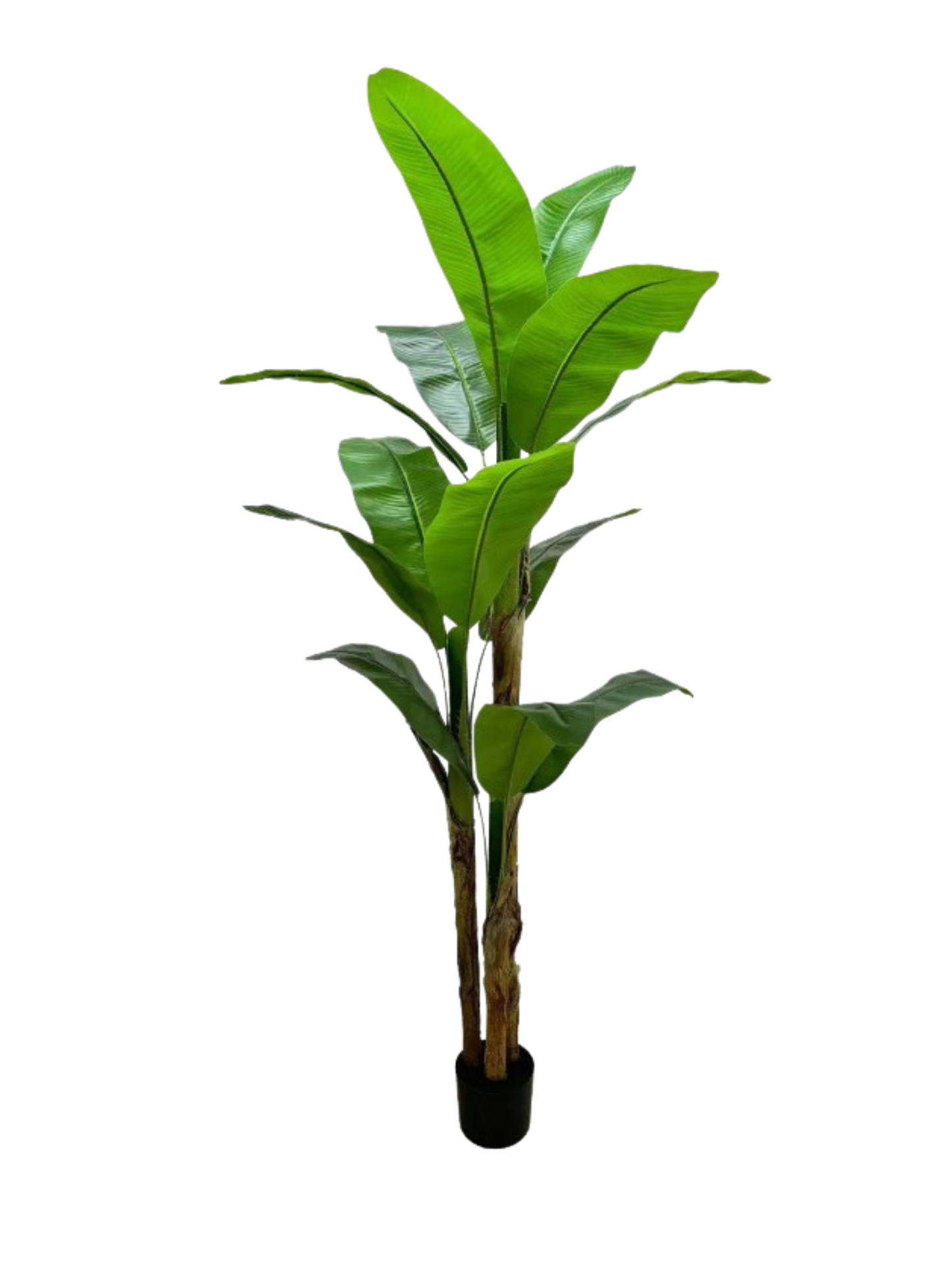 UV Banana Tree 200 CM