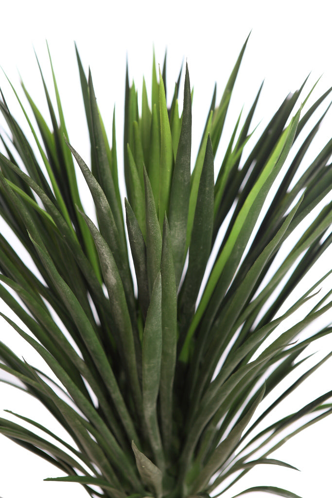 UV - Agave Cactus 80cm