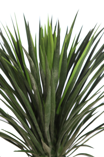 UV - Agave Cactus 80cm