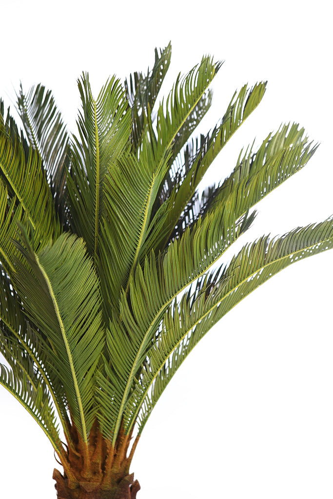 UV Artificial Cyca Palm 150cm