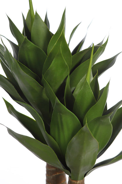 UV - Agave Double Stem 110cm