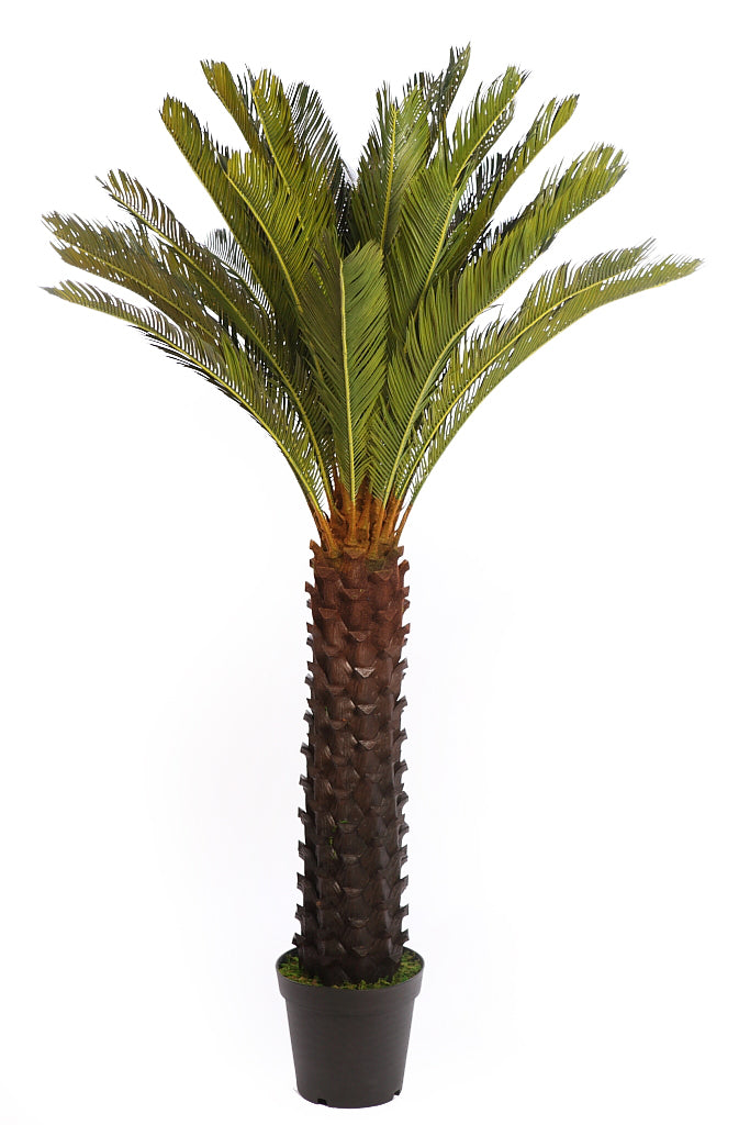 UV Artificial Cyca Palm 150cm