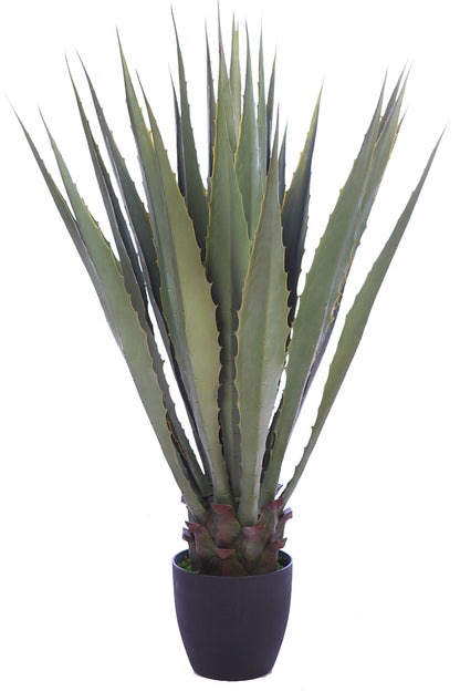 UV - Agave 105cm